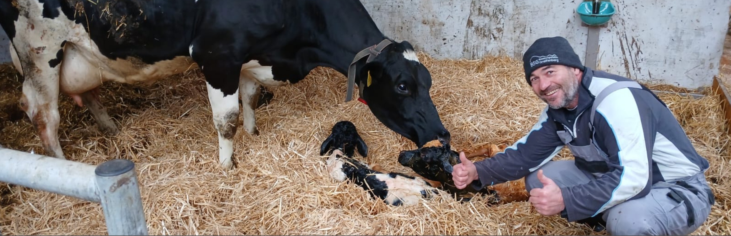 Teaserbild Tierarztpraxis Dr. Joseph Meissner